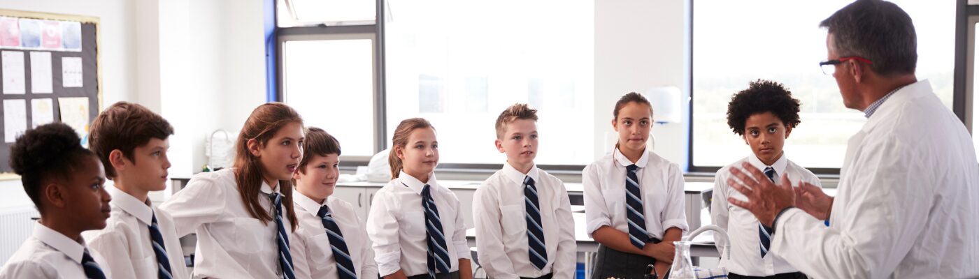 Secondary School teacher